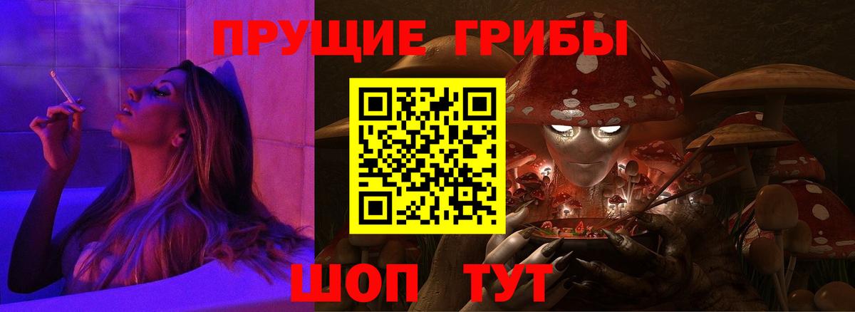 Калач-на-Дону  Галлюциногенные грибы MAGIC MUSHROOMS  Вход с VPN  Галлюциногенные грибы GOLDEN TEACHER 